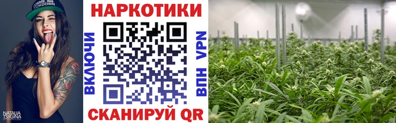 Где продают наркотики Бавлы Alpha PVP  КОКАИН  БУТИРАТ  ГАШ  МЕФ 