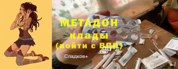 дживик Пересвет
