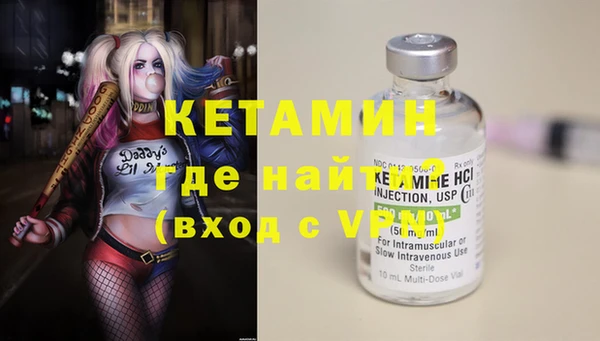 дживик Пересвет