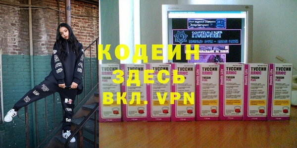 дживик Пересвет