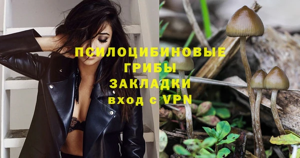 бошки Пестово