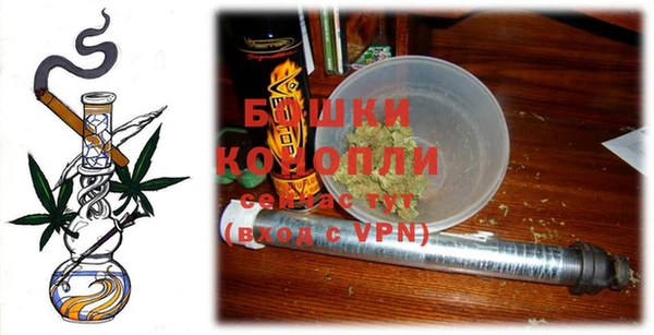 PSILOCYBIN Весьегонск