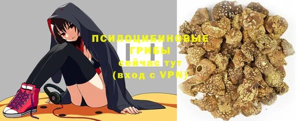 бошки Пестово