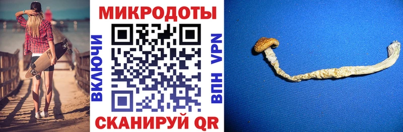 Галлюциногенные грибы мицелий  Бавлы 