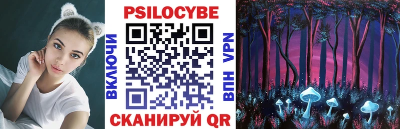 Псилоцибиновые грибы мухоморы Бавлы